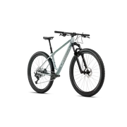 Orbea ALMA H20 (2027) - bicicletă MTB XC hardtail - Frozen Concrete - Titanium (Gloss)