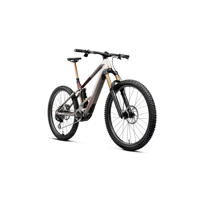 Orbea WILD TR M20 (2027) - bicicletă electrică eMTB Trail - Desert Rose (Matt) - Burning Ashes C. View (Gloss)