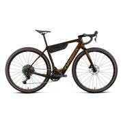 Orbea DENNA M40 (2027) - bicicletă electrică gravel - Nickel (Matt) - Carbon Raw (Gloss)