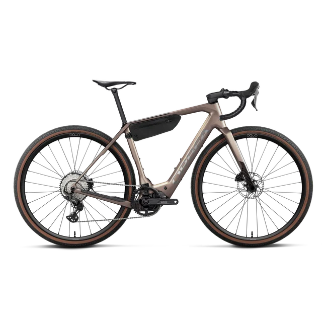 Orbea DENNA M20 (2027) - bicicletă electrică gravel - Nickel (Matt) - Carbon Raw (Gloss)