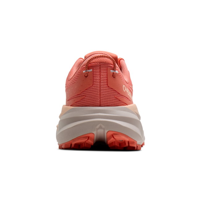 Pantofi trail Brooks Cascadia 19 W - Roz (812)