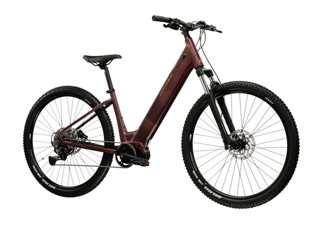 Bicicleta Electrica MTB Kross Hygo Boost 1.0 LS 29 inch aramie Shimano Cues
