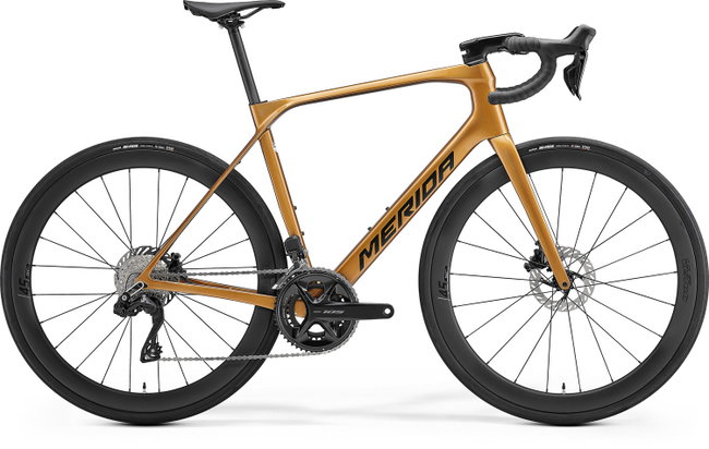 Merida Scultura Endurance 6000 M Auriu/Negru