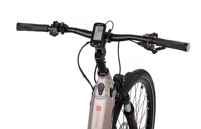 Bicicleta Electrica CROSS E-Touring 12.8 Steps Wave - 450 mm