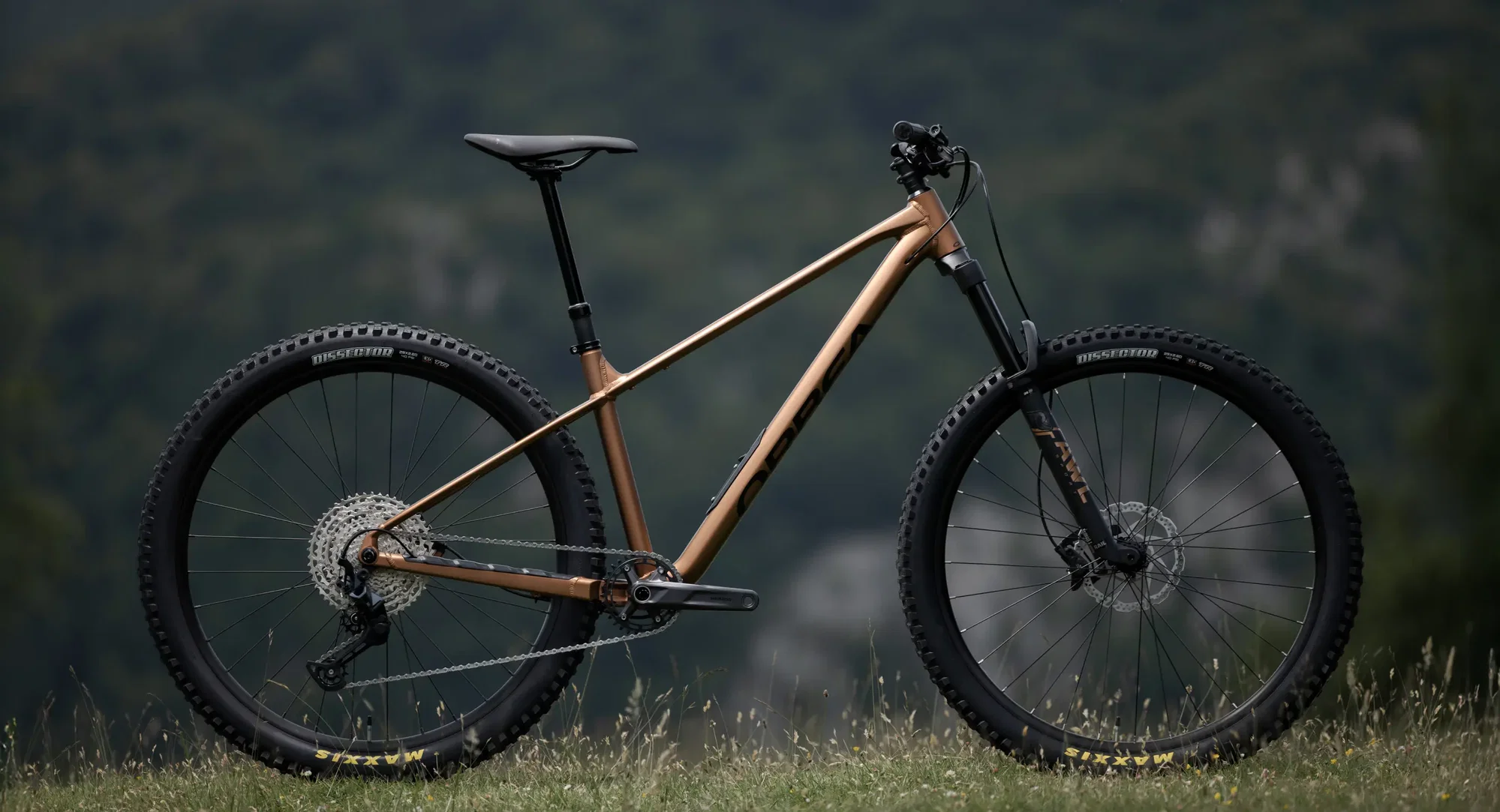 Orbea Laufey