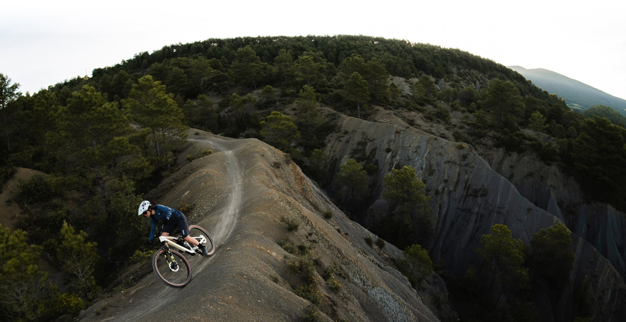 Orbea Occam