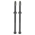 Ventil SCHWALBE Tubeless (Set)