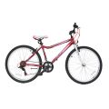 Bicicleta MOON Sprinter 29" gri 440 mm