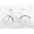 Aripi SKS Velo 55 Kids 20'' - set fata/spate