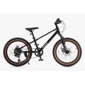Bicicleta Royal Baby Star Girl 20 Pink