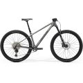 Merida Big.Nine Tr Limited L verde iarbă (verde argintiu)