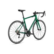 Bicicleta SPECIALIZED Allez Elite - Gloss Green Tint-Silver 44