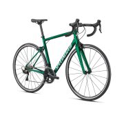 Bicicleta SPECIALIZED Allez Elite - Gloss Green Tint-Silver 44