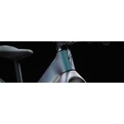 Bicicleta copii mtb SPECIALIZED Hotwalk Carbon - Satin Chameleon | 1-3 ani