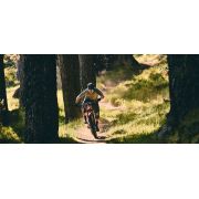 Orbea Wild FS M-TEAM - bicicleta electrica full suspension 29" carbon - alba
