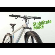 Bicicleta Mtb Afisport M2 - 29 Inch, XL, Argintiu