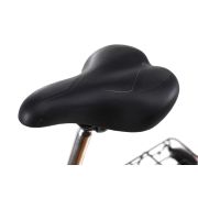 Bicicleta Pliabila Dhs 2092 Negru 20 Inch