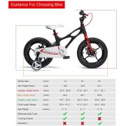 Bicicleta RoyalBaby Space Shuttle 16 Black