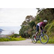 Northwave Revolution 3 - pantofi pentru ciclism sosea - alb negru logo auriu