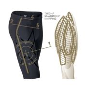 2XU - colanti scurti compresie barbati Compression Elite MCS - negru auriu