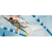 Finis Edge labe