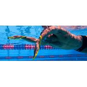 Finis Fulcrum Antebrat juniori