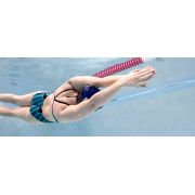 Finis Posture Trainer