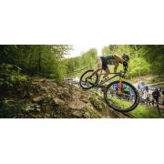Orbea - bicicleta MTB hardtail cu roti 29" - Alma H30 - albastru-galben