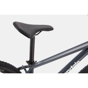 Cannondale Trail 6 bicicleta MTB hardtail - gri