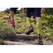 CEP - Sosete compresie inalte merino barbati PRO+ Outdoor Light calf Socks - verde iarba negru