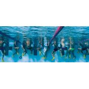 Finis Zoomers Gold labe scurte