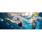 Finis Agility palmare