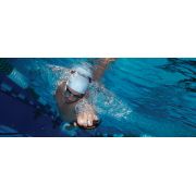 Finis Instinct palmare