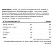 226ers - capsule - Vegan Symbiotic Complex - 60 capsule