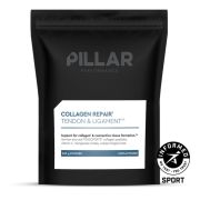 Pillar Performance - Collagen Repair - punga cu pulbere - 260g