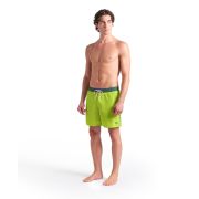 Arena - short inot barbati - Team Stripe Beach Boxer - Arctic-Lime-Mangrove