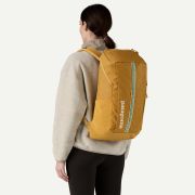 Patagonia - rucsac - Black Hole 25 L - Maro