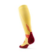 CEP - sosete compresie inalte - run socks tall 5.0 - marigold | burgundy