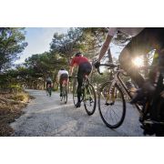 Garmin - Radar si lumină spate pentru bicicletă - Varia Radar RTL515 EU