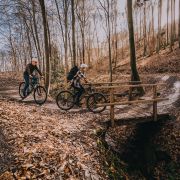 Focus Whistler 3.8 - bicicleta MTB hardtail 27.5" - 2024 - gri