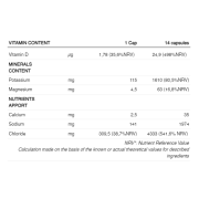 226ers - capsule sare - salts electrolytes - 100 capsule