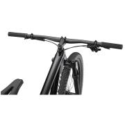 Bicicleta SPECIALIZED Epic Hardtail - Gloss Tarmac Black/Abalone XL