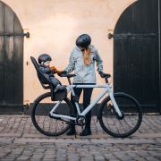 Scaun bicicleta copii THULE Yepp 2 Maxi cu montare pe spate - Alaska