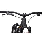Bicicleta SPECIALIZED P.3 - Gloss Black Tint/Black 26