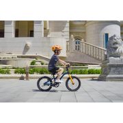Bicicleta Royal Baby Kable-EZ 14 Golden