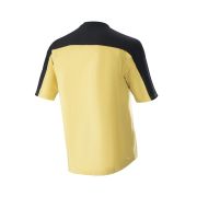 Tricou Alpinestars Drop Meta Gold