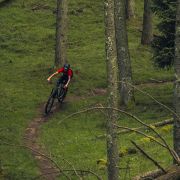 Bicicletă copii MTB Trail Orbea LAUFEY 24 H30 - Spicy Lime | Corn Yellow (Gloss)