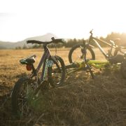 Bicicletă copii Orbea MX 24 TEAM DISC - Halo Silver | Spicy Lime (Matt)