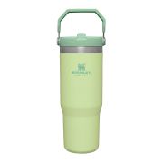 Stanley - termos tip sticla cu pai - Flip Straw Tumbler - Citron - 890 ml