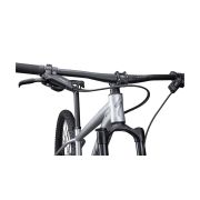 Bicicleta SPECIALIZED Rockhopper Expert 29 - Satin Silver Dust/Black Holographic M